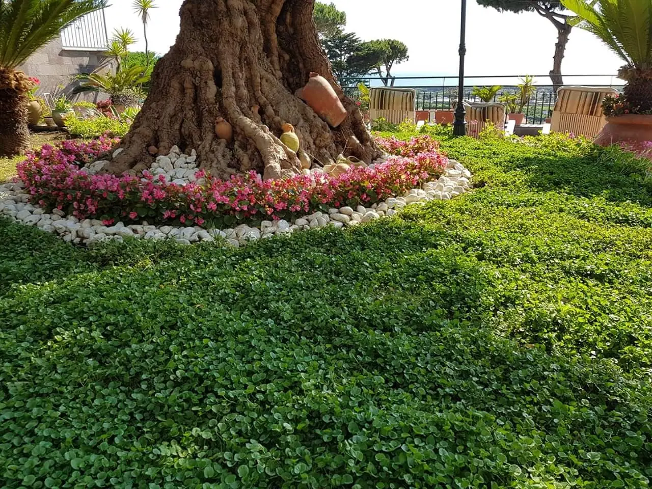 Articoli da leggere
